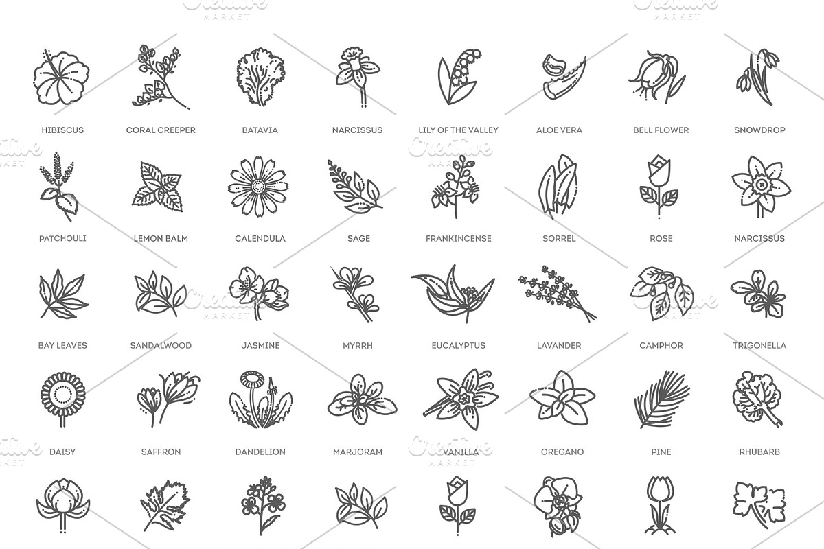Set of Flowers and Herbs Icons, a Healthcare Illustration by Tettygreen (Photo 2 of 4)