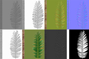 Pinanga coronata, an Environmental 3D Model by AndrewWhite (Thumbnail 2 of 25)