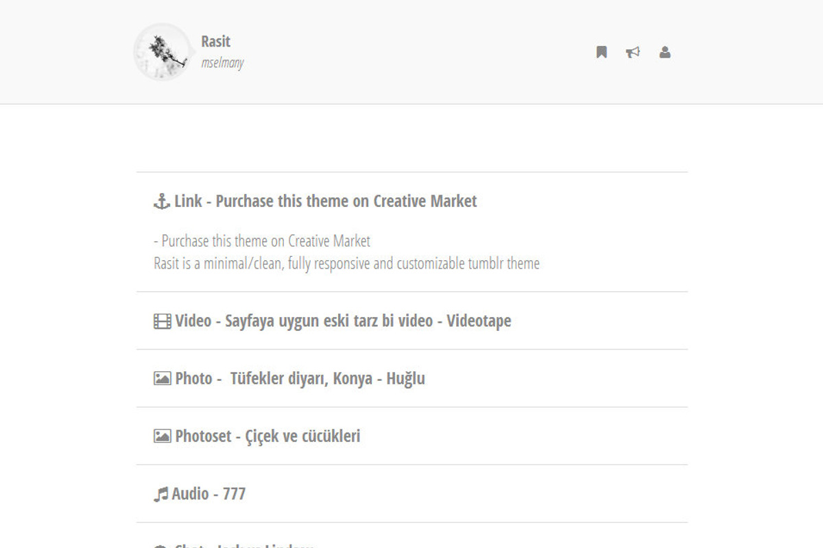 Rasit - Clean Tumblr Theme, a Websites & App Template by mselmany (Photo 1 of 5)