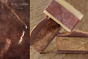 Vestige · Primal Earth Backgrounds, a Background Graphic by alonahaidash (Thumbnail 13 of 16)