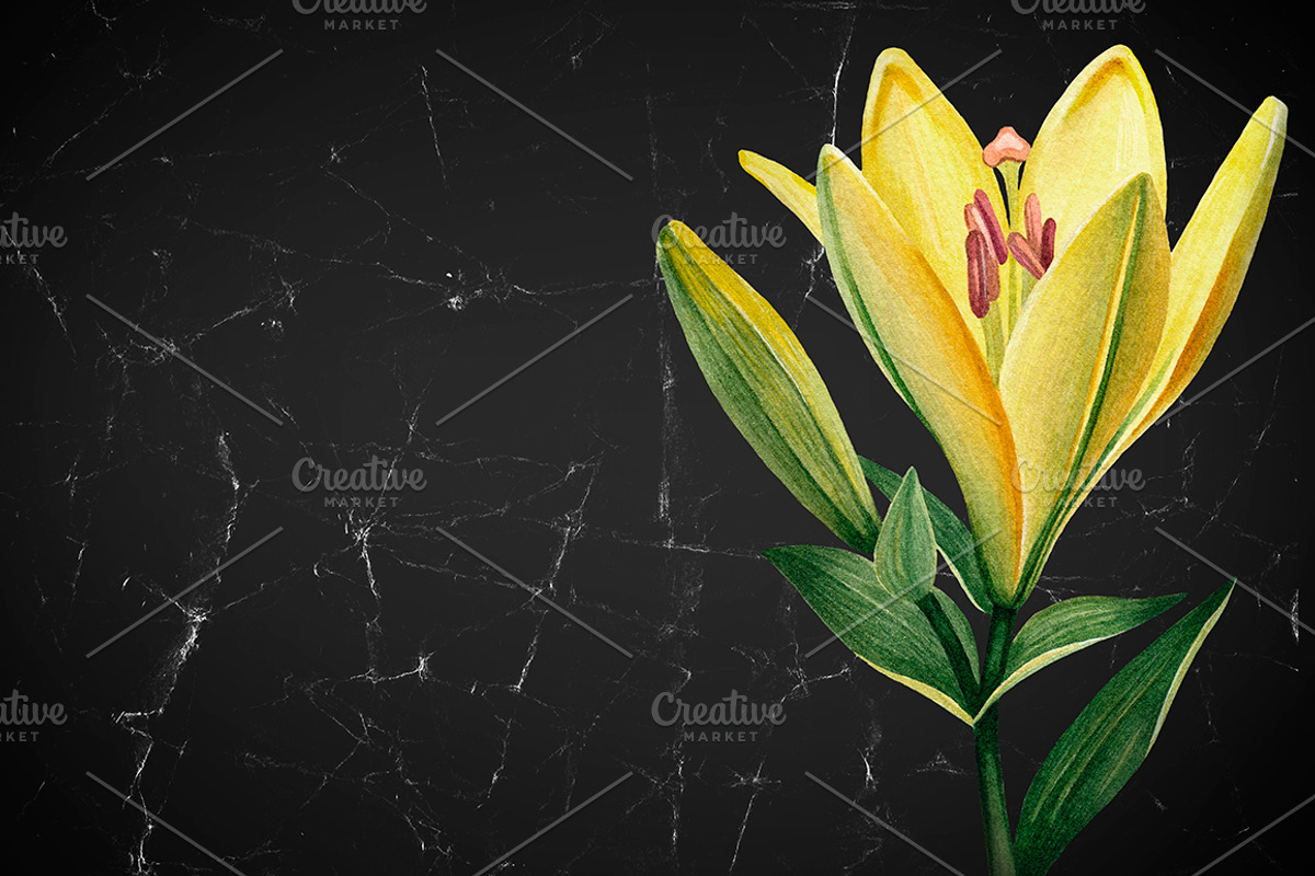 Illustrations of Lilies, a Texture Illustration by Sundra (Photo 10 of 10)