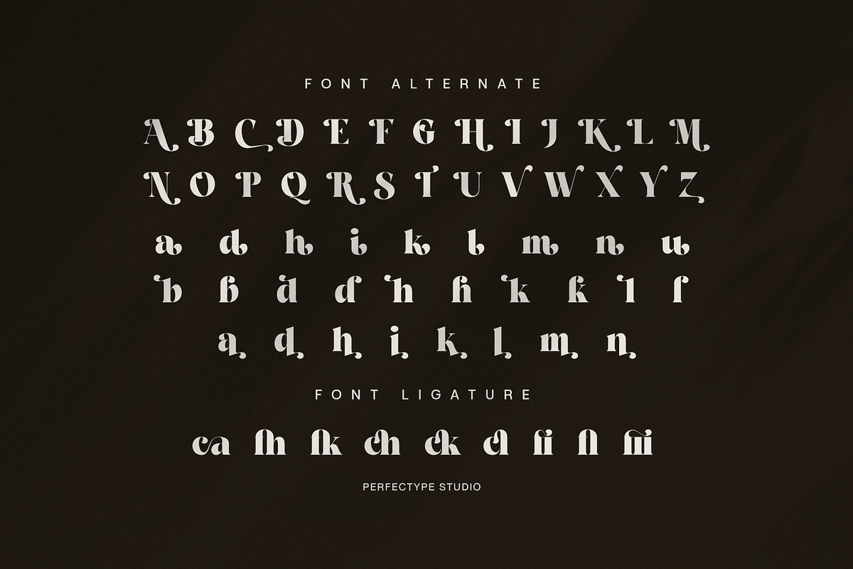 Caffin Elegant Serif Font, a Serif Font by Perfectype (Photo 8 of 8)