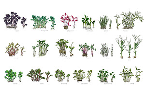 A set of different microgreens with, an Object Illustration by Sabelskaya