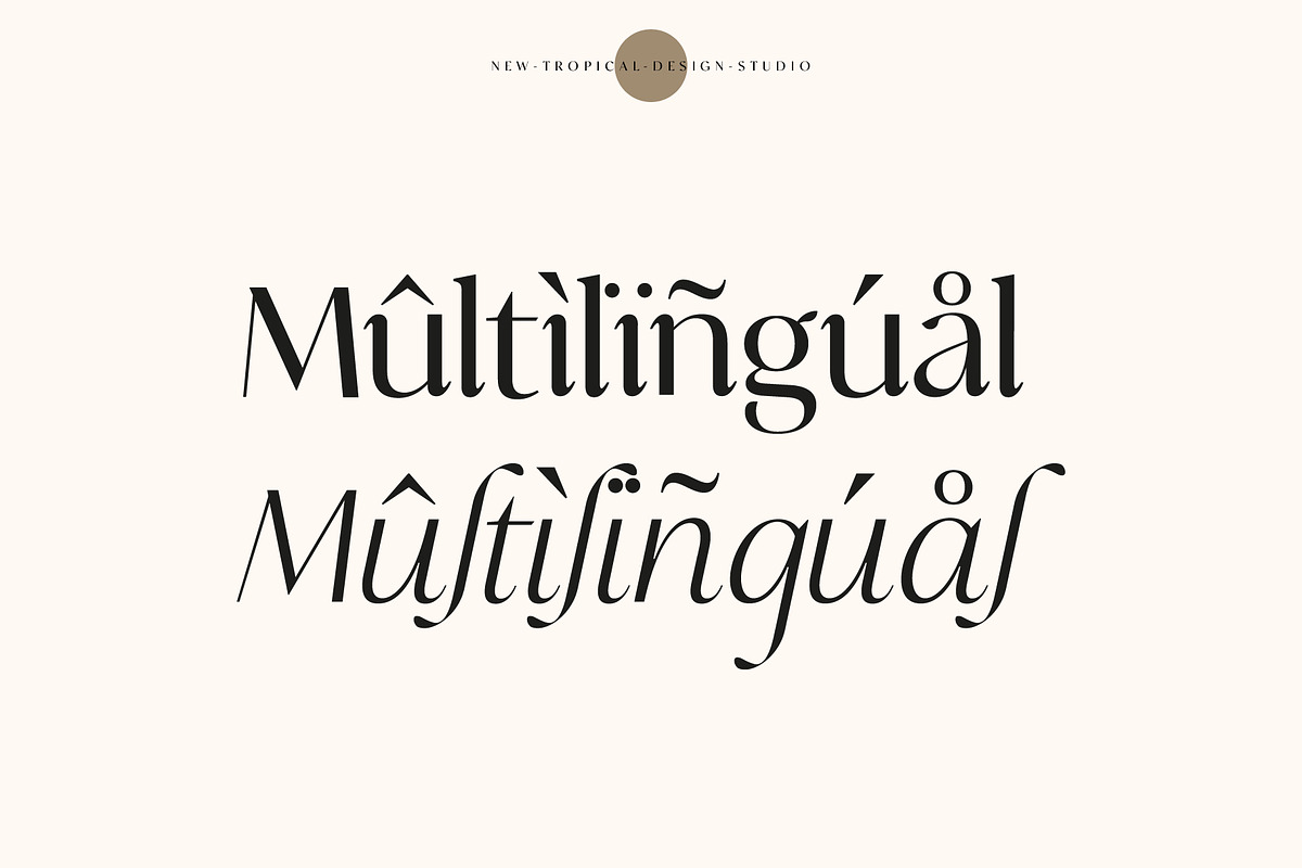 Analogue - Stylish Modern font, a Serif Font by Tropical Type (Photo 12 of 13)