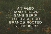Rewilding, a Sans Serif Font by Fairwren Creative (Thumbnail 3 of 9)