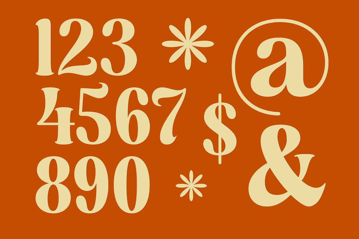 Dusty Brothe Groovy Serif Display, a Serif Font by timelesstype.co (Photo 9 of 20)