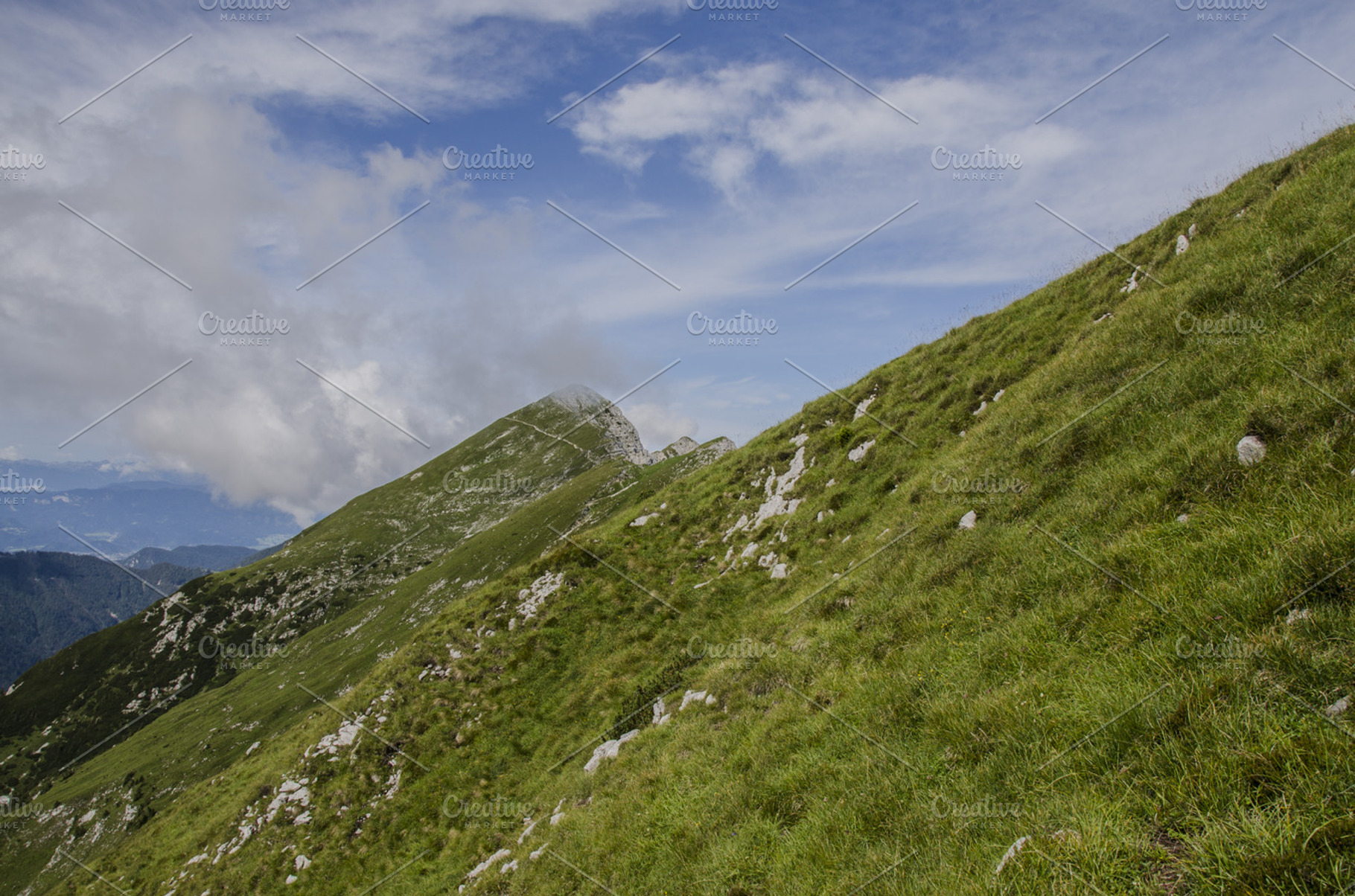 Hills And Grass