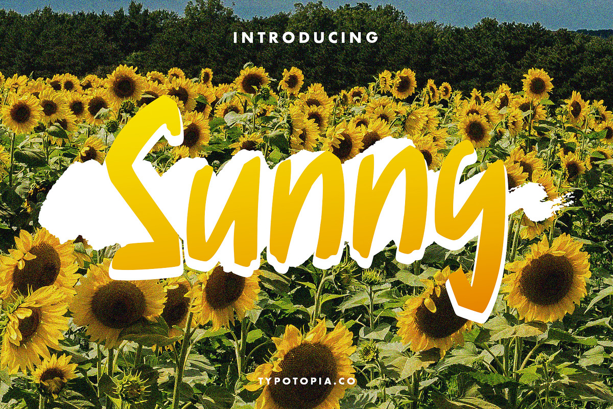 Sunny Display Font, a Sans Serif Font by edukka (Photo 1 of 6)