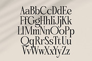 Qinfolk - Elegant Serif Font, a Serif Font by timelesstype.co (Thumbnail 15 of 20)