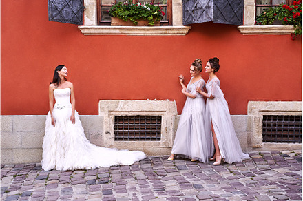 Beautiful bride and bridesmaids in, a Person Photo by Oleksandr Berezko