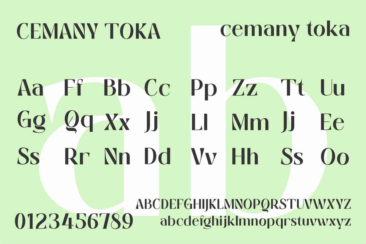 Cemany Toka, a Serif Font by studiobasic (Photo 7 of 9)