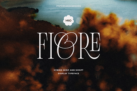 Fiore - Elegant Serif Script, a Serif Font by Sans & Sons