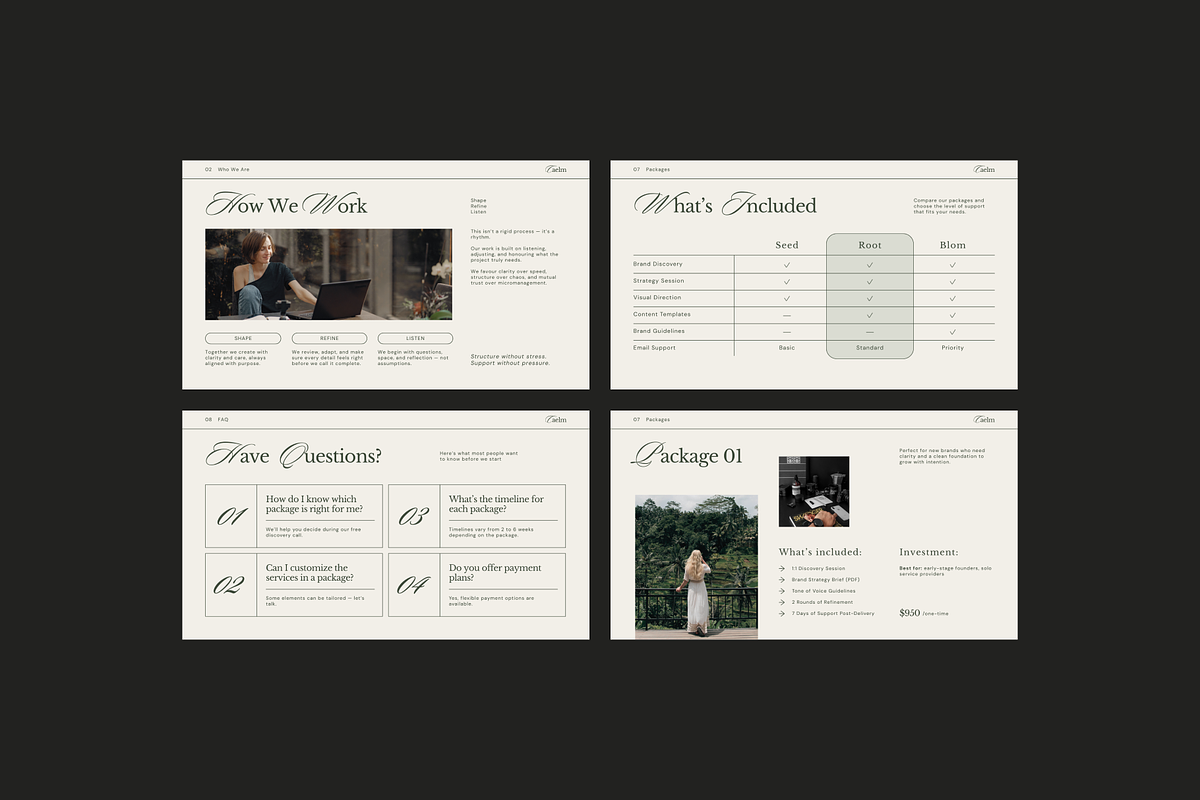 CAELM Services Pricing Guide | CANVA preview 8