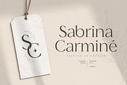 Montage - Cinematic Logo Luxury Font, a Serif Font by Sensatype (Thumbnail 8 of 12)