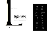 Nindia Font, a Serif Font by Phoenix Dungeon (Thumbnail 9 of 9)