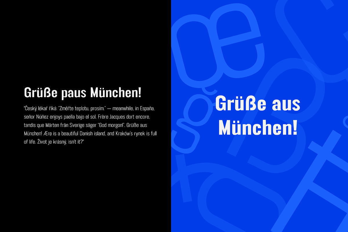 FT Neue Buddy - 5 Styles Sans Serif, a Sans Serif Font by fuzztype (Photo 9 of 15)