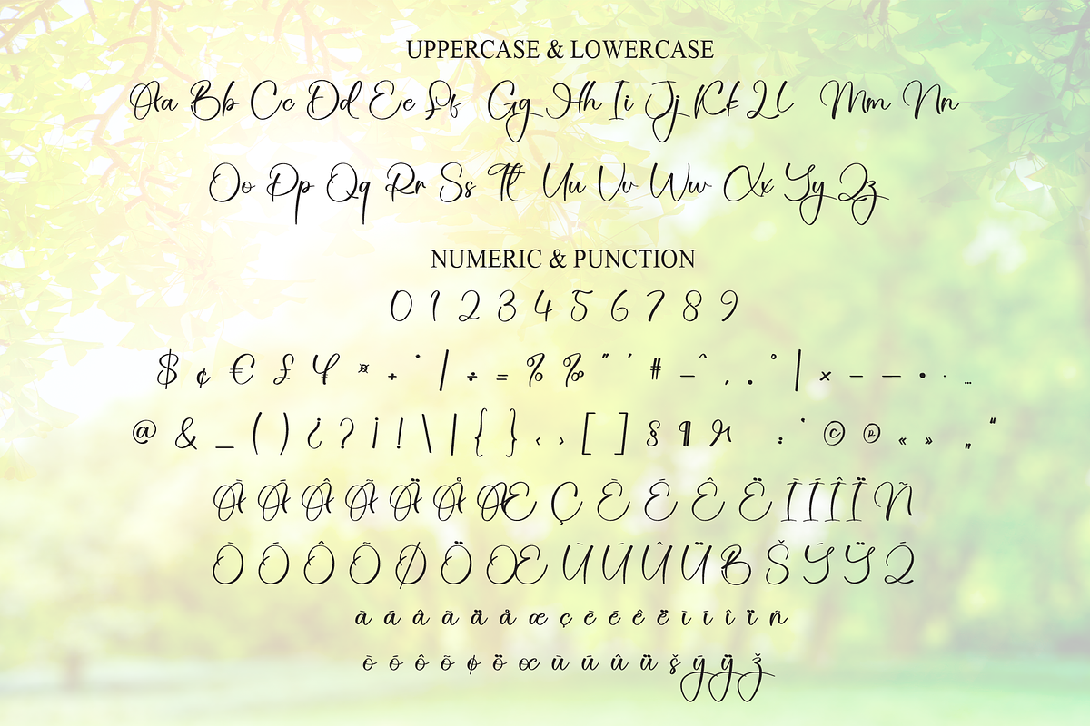 Brightning | Script Font, a Handwritten Font by Scratchones (Photo 7 of 8)