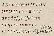 Elegant Wedding Serif - Rapodhite, a Serif Font by Font Liner (Thumbnail 9 of 13)