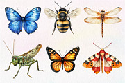 Vintage Insect Sublimation Clipart, an Illustration by Dream Creation (Thumbnail 4 of 7)