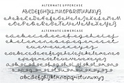 Skywave Typeface, a Script Font by PutraCetol Studio (Thumbnail 5 of 7)