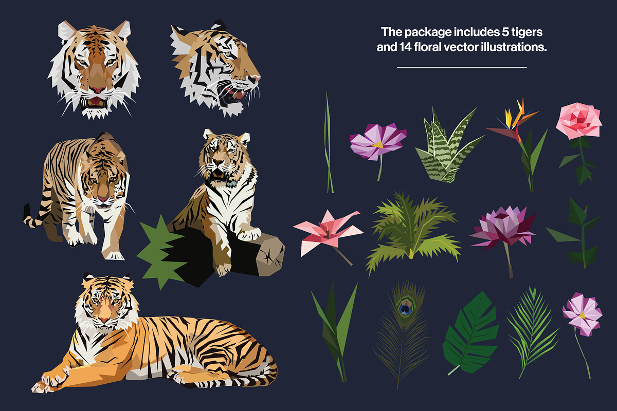 Tiger illustrations in lowpoly style, an Animal Illustration by Volkan Aydemir (Photo 2 of 4)