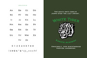 Veneer, a Serif Font by Loudoun Design Co. (Thumbnail 9 of 11)