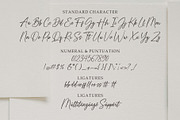 Herathine - Elegant Script, a Script Font by MJB Letters (Thumbnail 9 of 10)