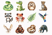 Rainforest Animals Clipart, an Illustration by Design Market (Thumbnail 5 of 5)