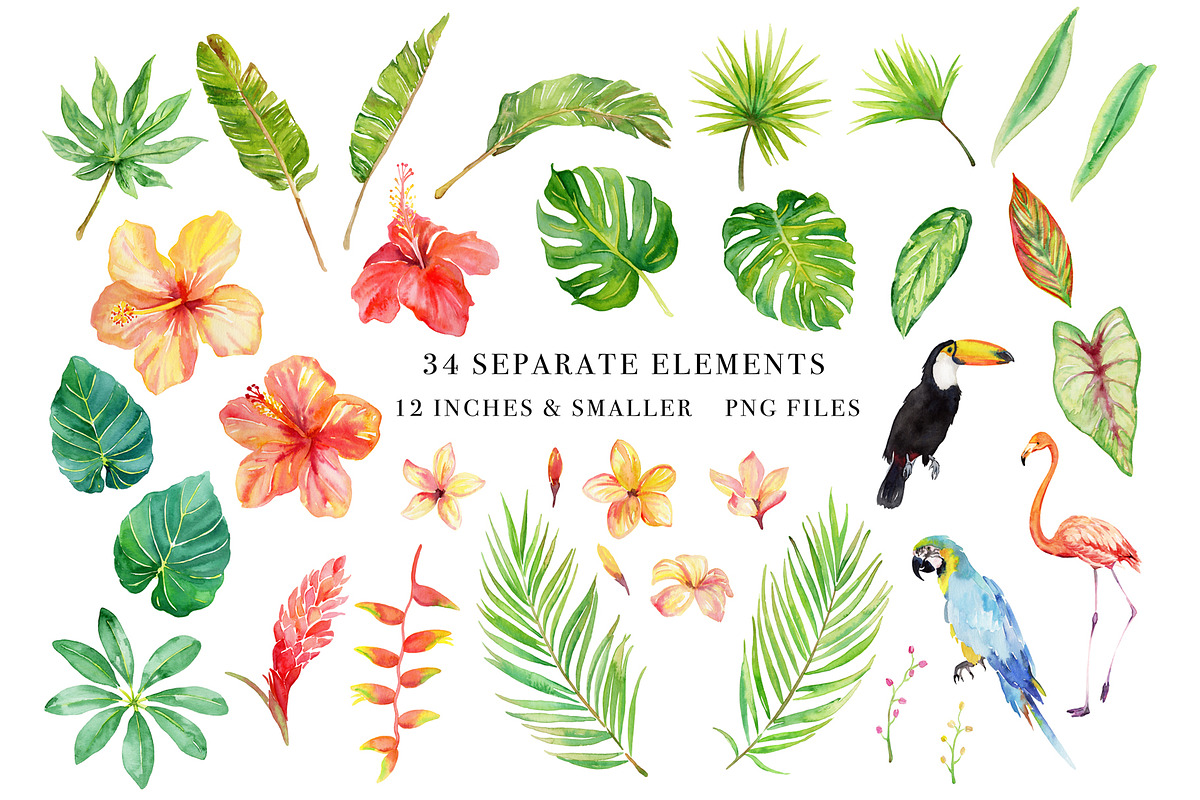 Sale- Tropical Botanicals Set, an Illustration by Art by Lin (Photo 2 of 7)