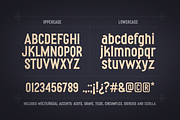 Ernesto Serif Vintage, a Serif Font by DonMarciano (Thumbnail 2 of 6)