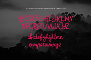 Buchero Brush Script Font, a Script Font by Dawnside Graphic (Thumbnail 3 of 13)