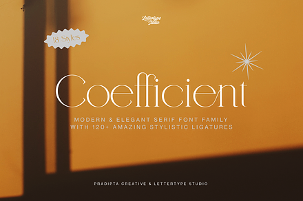 Coefficient Modern Serif | 50% OFF, a Serif Font by Lettertype Studio