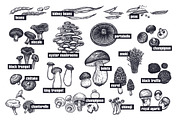 Vegetables and mushrooms., a Food Illustration by MarinaVorontsova (Thumbnail 7 of 10)