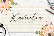 Kamelia Script, a Script Font by Megatype (Thumbnail 1 of 8)