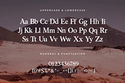 Anarcopy – Modern Trash Serif Font, a Serif Font by overlaytemplates (Thumbnail 4 of 5)