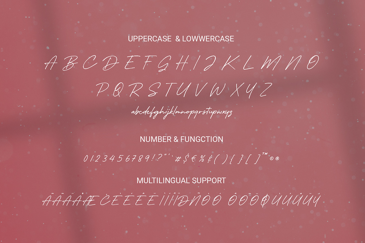 Starla Air - Stylish Signature Font, a Font by RHD Creative Studio (Photo 9 of 9)