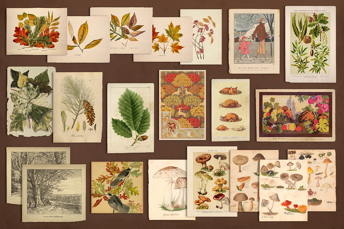 100 Vintage Autumn Ephemera, an Object Graphic by The Object Atlas (Photo 6 of 10)