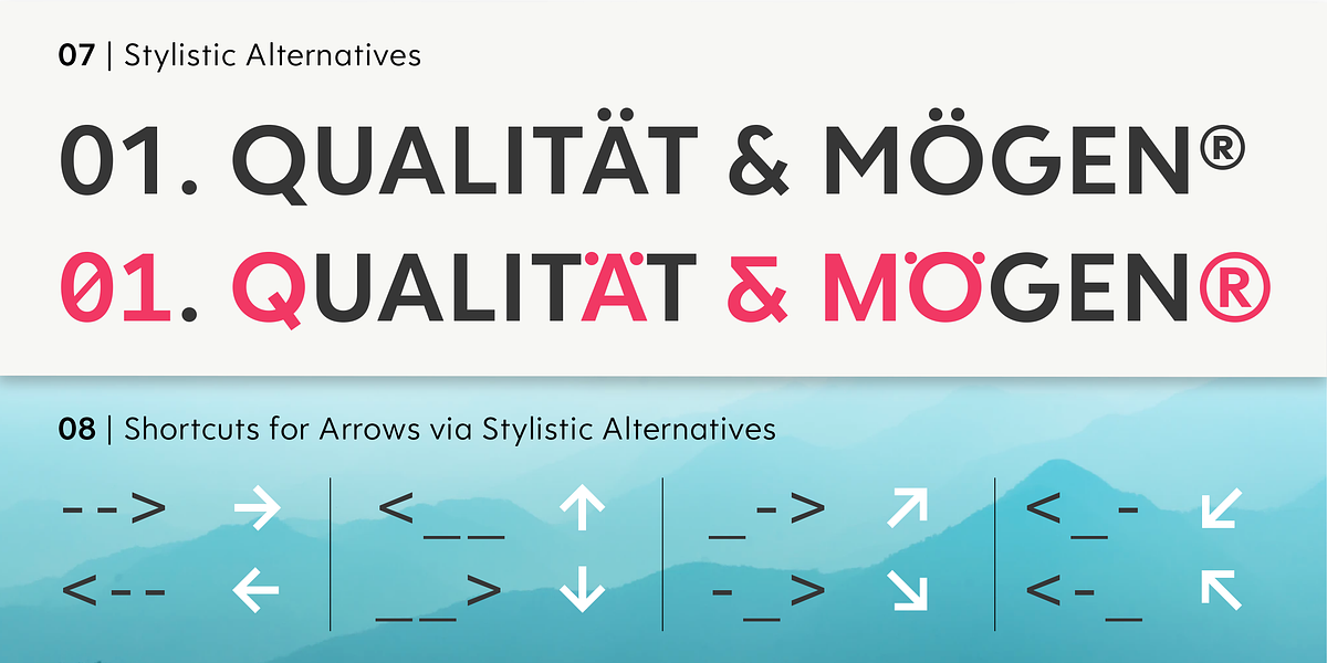 Clarika Pro, a Sans Serif Font by Wild Edge (Photo 9 of 10)