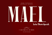 Mael – Luxury Editorial Serif, a Serif Font by FactoryType Studio (Thumbnail 11 of 11)
