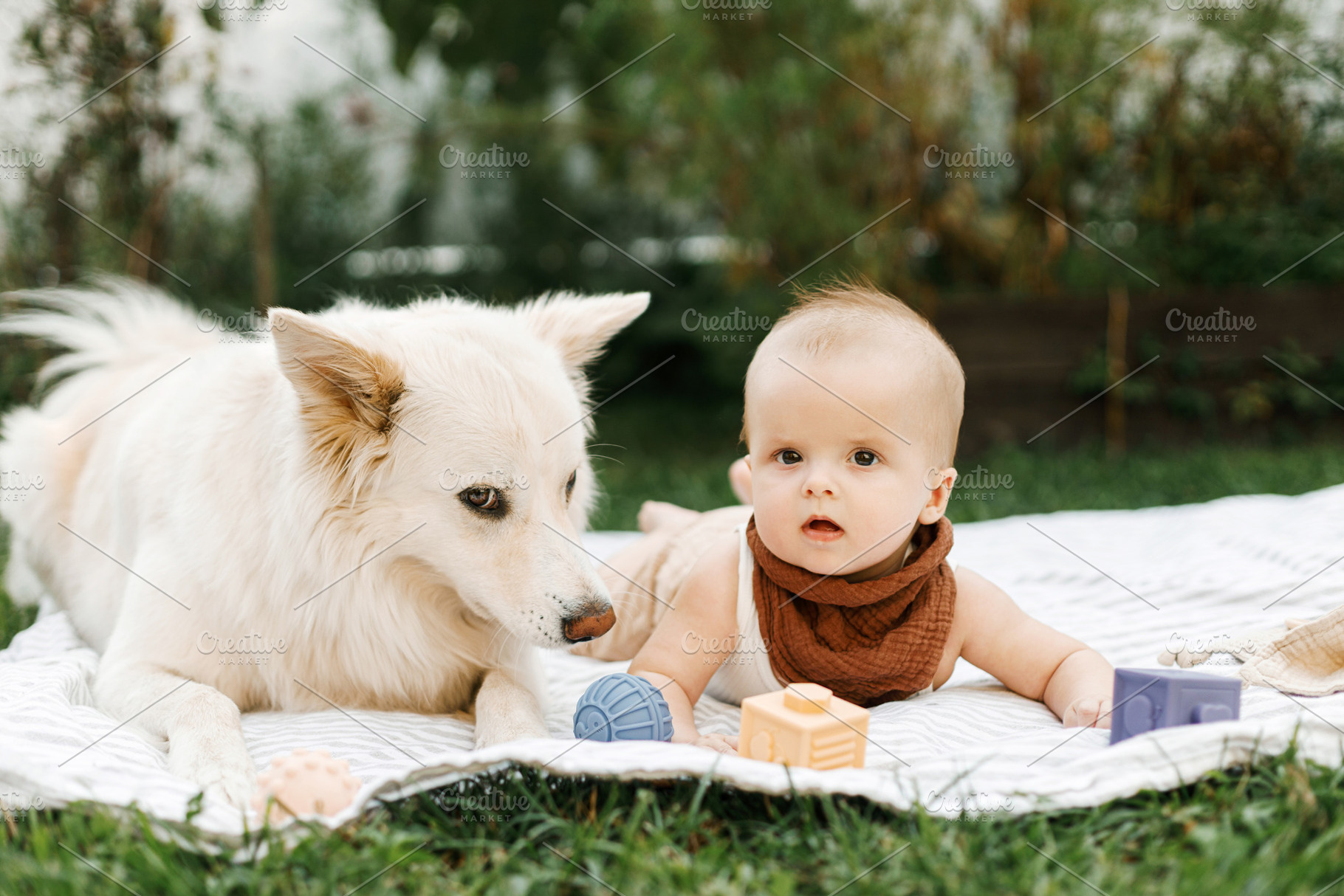 Beautiful happy baby and cute dog playing with toys while lying, a Person Photo by Sonjachni
