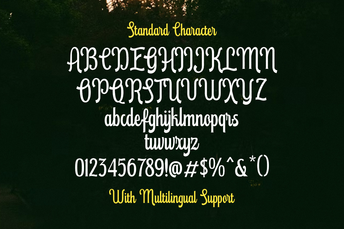 New Haven Retro Script Display Font, a Script Font by Letterhend Studio (Photo 6 of 9)