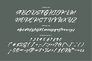 Roughton Bogatha Modern Brush Font, a Script Font by Letterena Studios Script (Thumbnail 13 of 15)