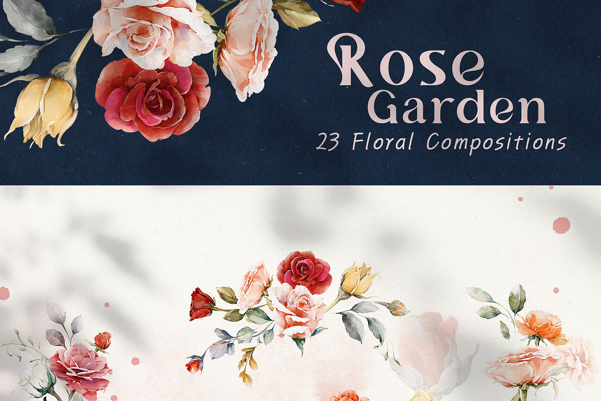 Watercolor Rose Collection, a Decorative Illustration by Damian Roh (Photo 6 of 16)