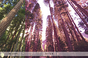 Forest Tone Lightroom Presets, an Action Add-On by N A N D U Z D E S I G N (Thumbnail 4 of 10)