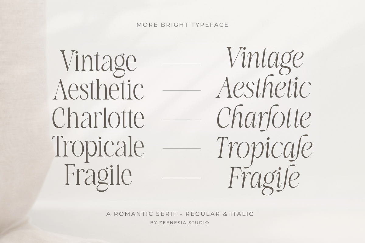 More Bright Serif Duo, a Serif Font by zeenesia (Photo 18 of 18)