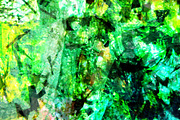 Abstract dark green,Unique green art, an Abstract Photo by Manis recycle abstract (Thumbnail 3 of 3)
