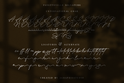 Fayetteville Signature Business Font, a Script Font by KennedyStudio (Thumbnail 9 of 11)