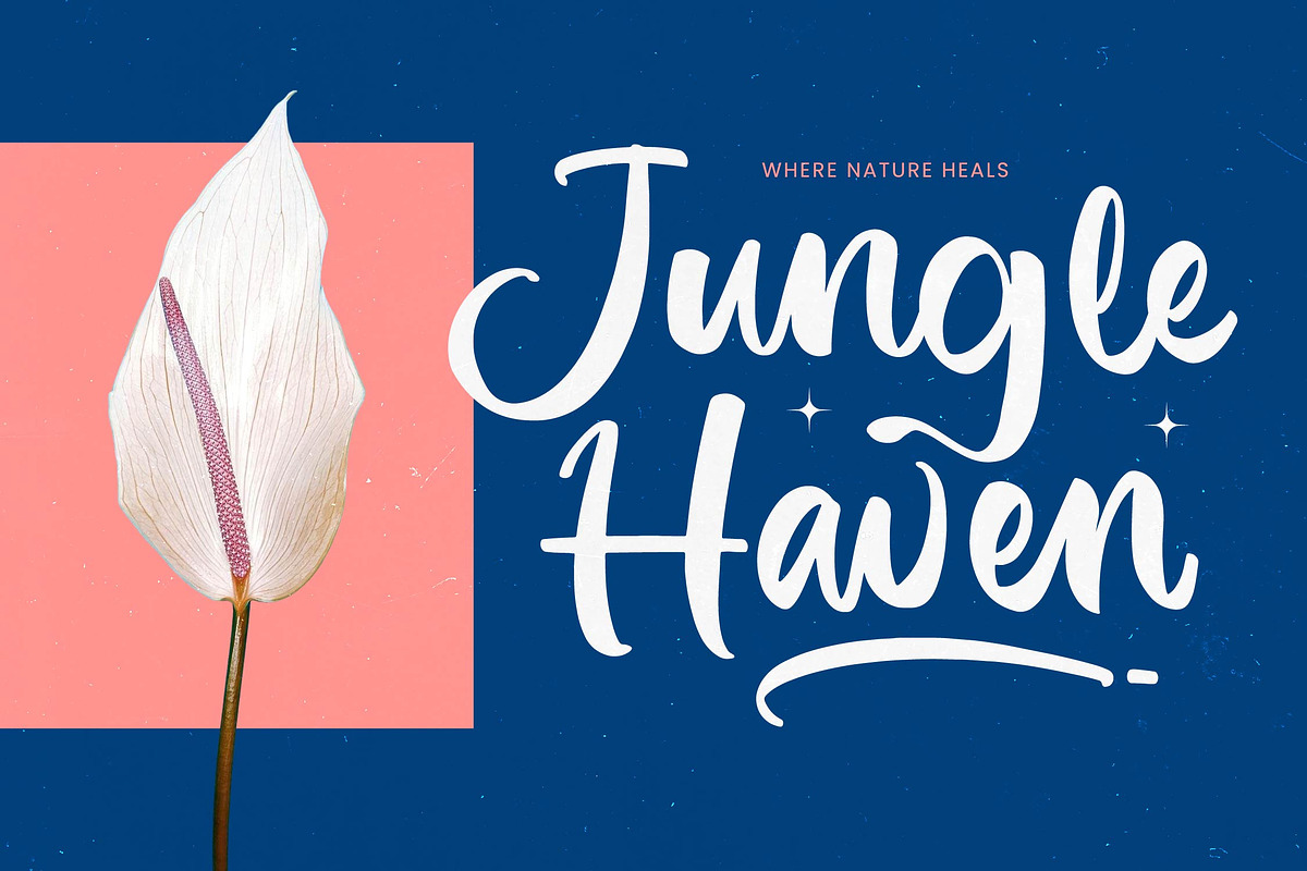 Imagine Sunday Bold Handwritten Font, a Script Font by Letterena Studios Script (Photo 2 of 20)