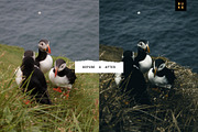 Moody Bay – 4 Pro Lightroom Presets, a Preset Add-On by SHOOM HOUSE (Thumbnail 3 of 9)