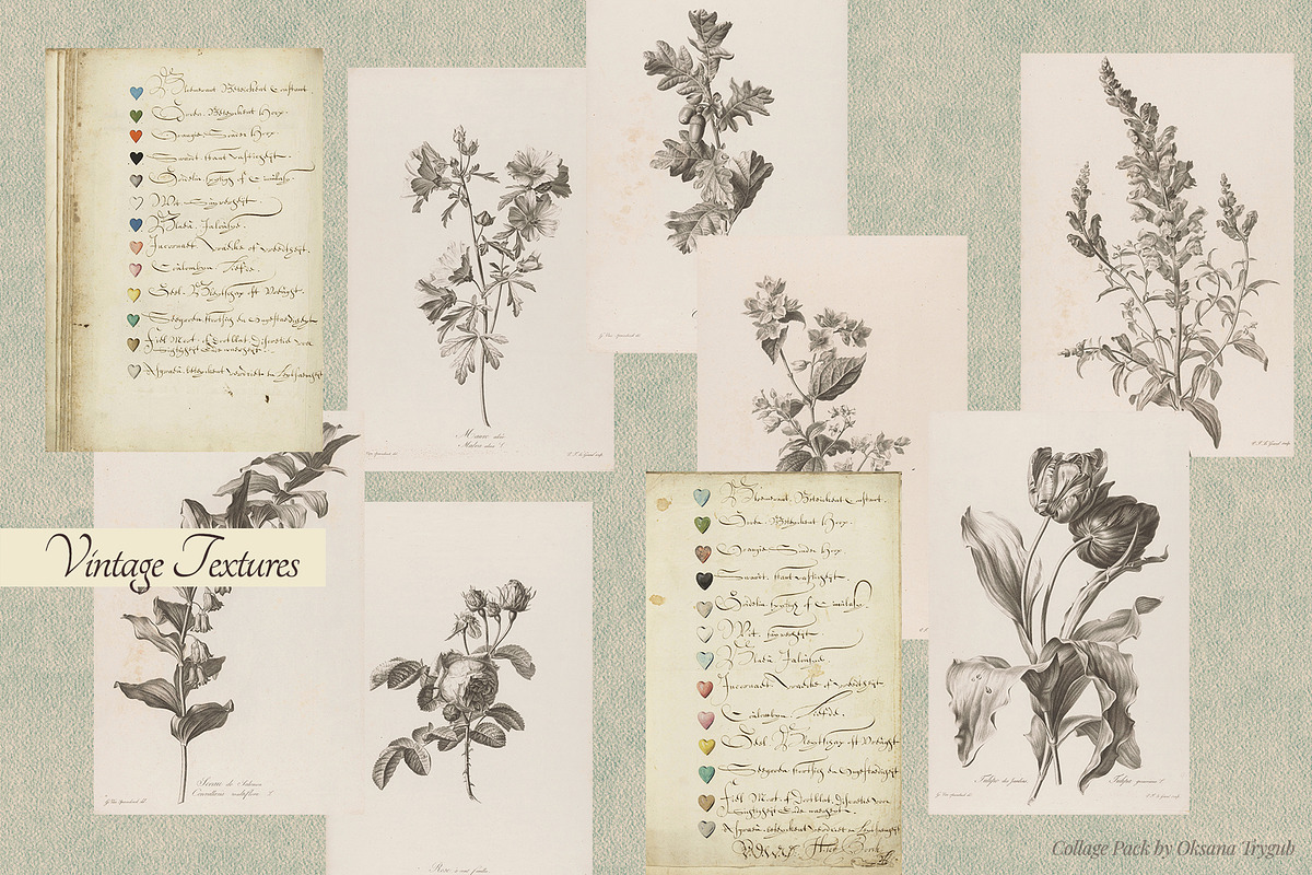 Vintage Museum Collage Elements Pack, an Object Graphic by Oksana Trygub (Photo 23 of 29)